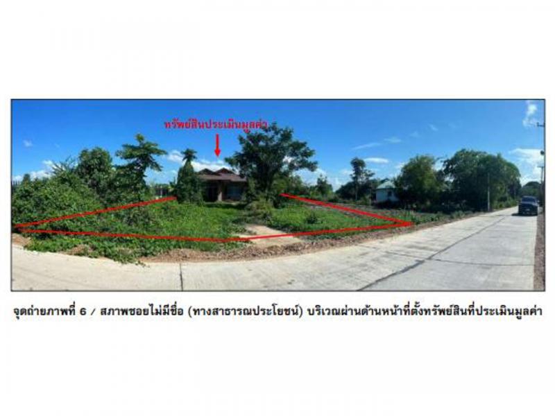 ป่าพุทรา ขาณุวรลักษบุรี กำแพงเพชร