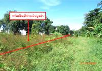 ขายที่ดินว่างเปล่า