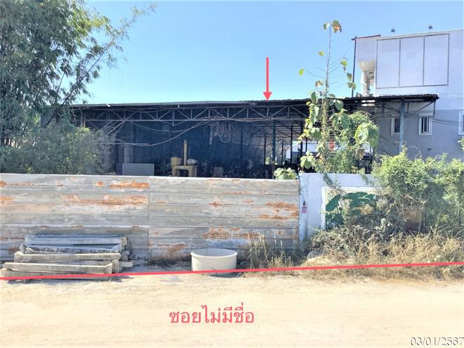 พรานกระต่าย พรานกระต่าย กำแพงเพชร